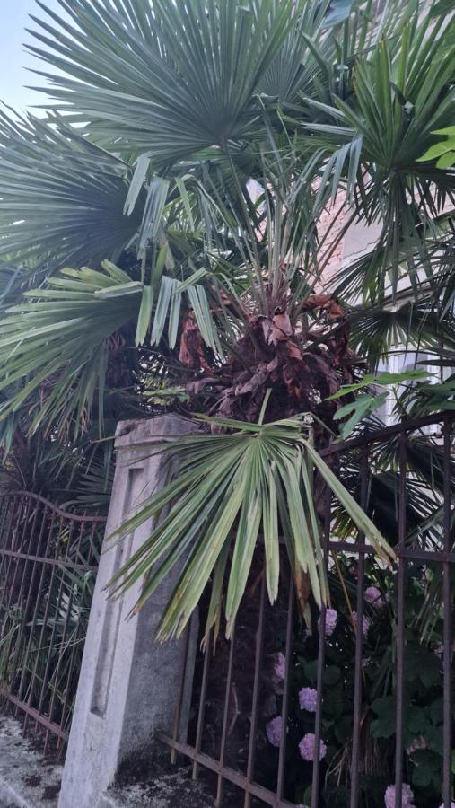 Apartman Roses Zagreb Luaran gambar