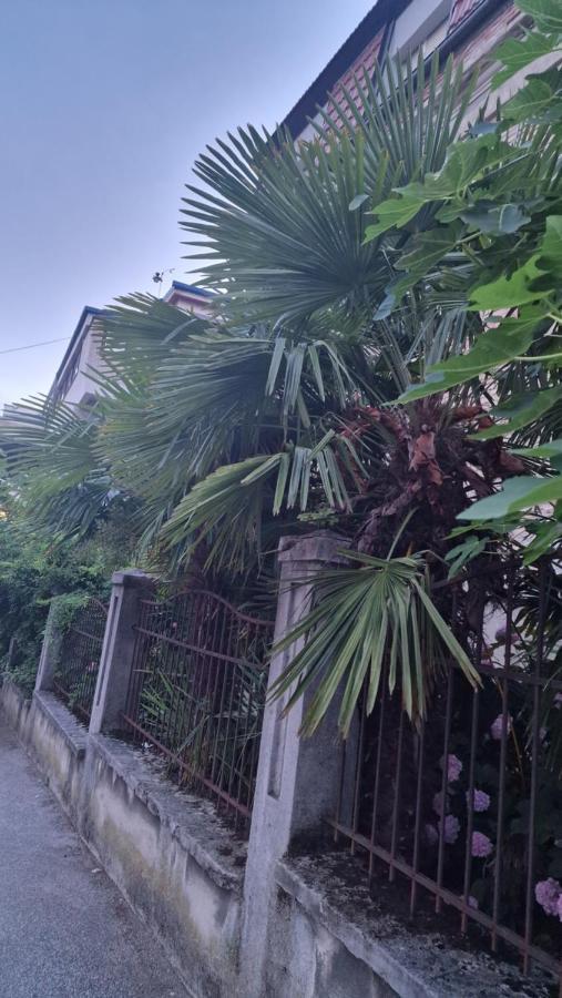 Apartman Roses Zagreb Luaran gambar